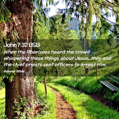 Picture 02 - John 7:32 BSB - When the Pharisees heard the crowd whispering - Bible Verse Picture