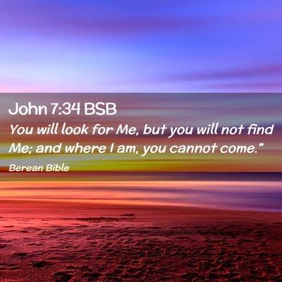 Picture 02 - John 7:34 BSB - You will look for Me, but you will not find Me; - Bible Verse Picture