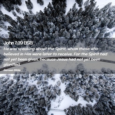 Picture 02 - John 7:39 BSB - He was speaking about the Spirit, whom those who - Bible Verse Picture