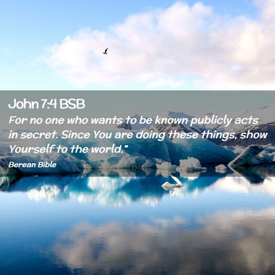 Picture 02 - John 7:4 BSB - For no one who wants to be known publicly acts in - Bible Verse Picture