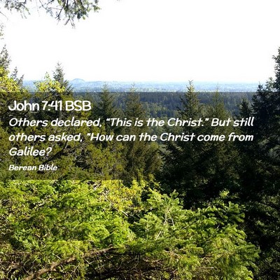 Picture 02 - John 7:41 BSB - Others declared, “This is the Christ.” But - Bible Verse Picture