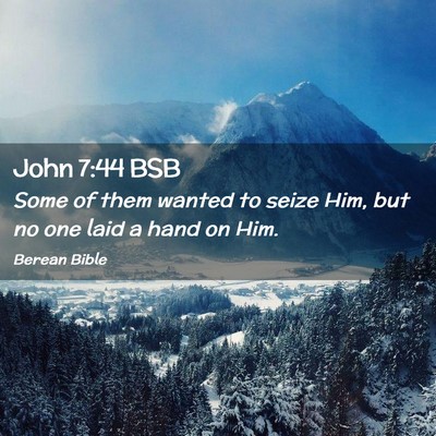 Picture 02 - John 7:44 BSB - Some of them wanted to seize Him, but no one laid - Bible Verse Picture