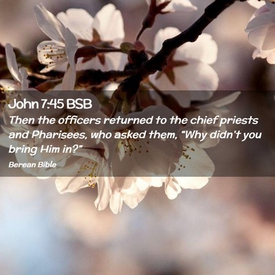 Picture 02 - John 7:45 BSB - Then the officers returned to the chief priests - Bible Verse Picture