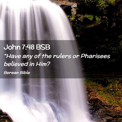 Picture 02 - John 7:48 BSB - “Have any of the rulers or Pharisees believed - Bible Verse Picture