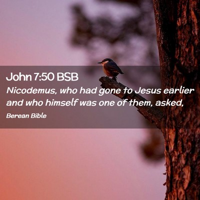 Picture 02 - John 7:50 BSB - Nicodemus, who had gone to Jesus earlier and who - Bible Verse Picture