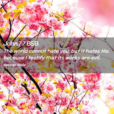 Picture 02 - John 7:7 BSB - The world cannot hate you, but it hates Me, - Bible Verse Picture