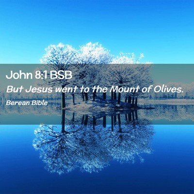 Picture 02 - John 8:1 BSB - But Jesus went to the Mount of - Bible Verse Picture