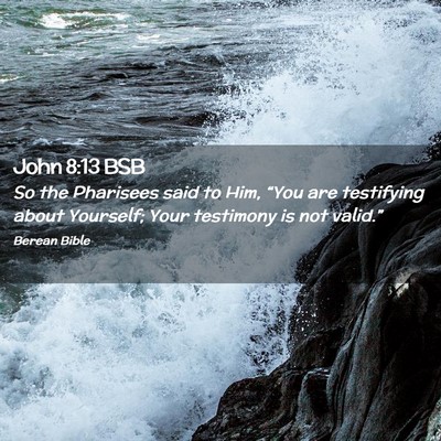 Picture 02 - John 8:13 BSB - So the Pharisees said to Him, “You are - Bible Verse Picture