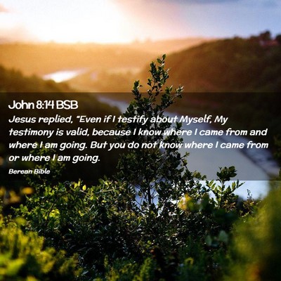 Picture 02 - John 8:14 BSB - Jesus replied, “Even if I testify about Myself, - Bible Verse Picture