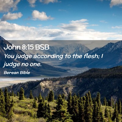 Picture 02 - John 8:15 BSB - You judge according to the flesh; I judge no - Bible Verse Picture