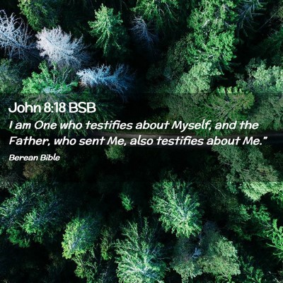 Picture 02 - John 8:18 BSB - I am One who testifies about Myself, and the - Bible Verse Picture