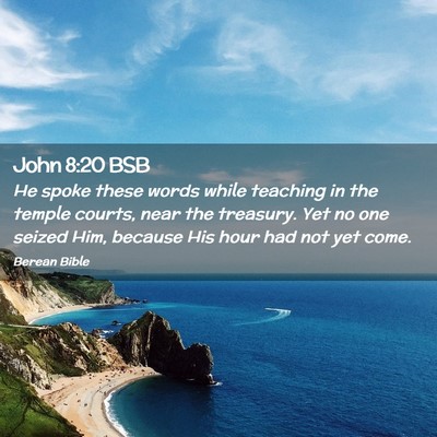 Picture 02 - John 8:20 BSB - He spoke these words while teaching in the temple - Bible Verse Picture