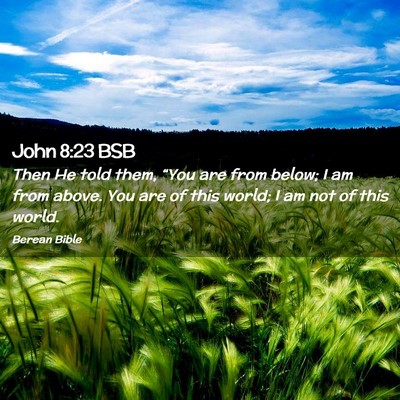 Picture 02 - John 8:23 BSB - Then He told them, “You are from below; I am - Bible Verse Picture