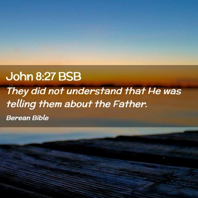 Picture 02 - John 8:27 BSB - They did not understand that He was telling them - Bible Verse Picture