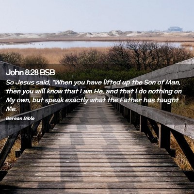 Picture 02 - John 8:28 BSB - So Jesus said, “When you have lifted up the Son - Bible Verse Picture