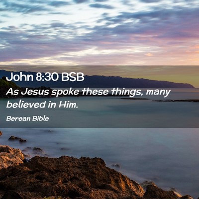 Picture 02 - John 8:30 BSB - As Jesus spoke these things, many believed in - Bible Verse Picture