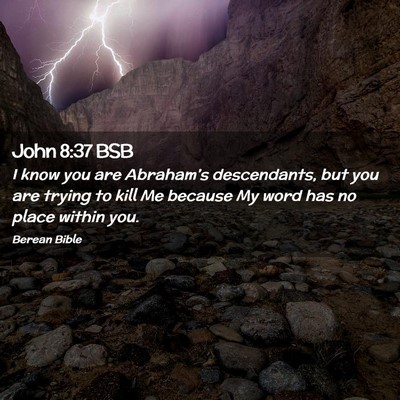 Picture 02 - John 8:37 BSB - I know you are Abraham’s descendants, but you - Bible Verse Picture