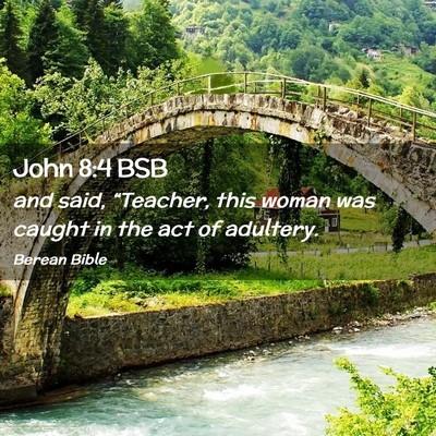 Picture 02 - John 8:4 BSB - and said, “Teacher, this woman was caught in - Bible Verse Picture