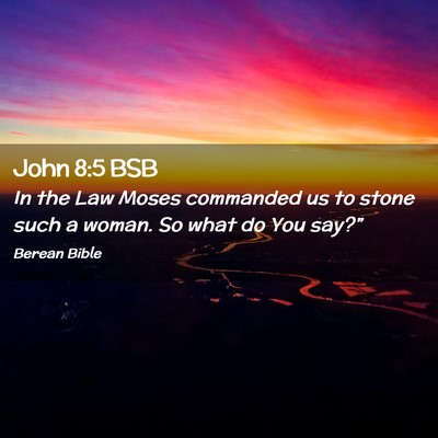 Picture 02 - John 8:5 BSB - In the Law Moses commanded us to stone such a - Bible Verse Picture