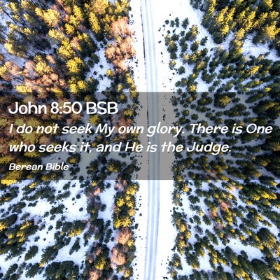 Picture 02 - John 8:50 BSB - I do not seek My own glory. There is One who - Bible Verse Picture