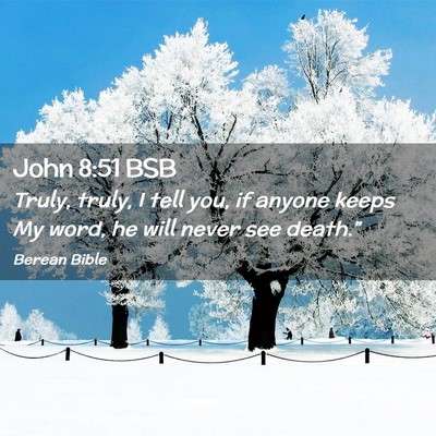 Picture 02 - John 8:51 BSB - Truly, truly, I tell you, if anyone keeps My - Bible Verse Picture