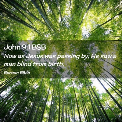 Picture 02 - John 9:1 BSB - Now as Jesus was passing by, He saw a man blind - Bible Verse Picture