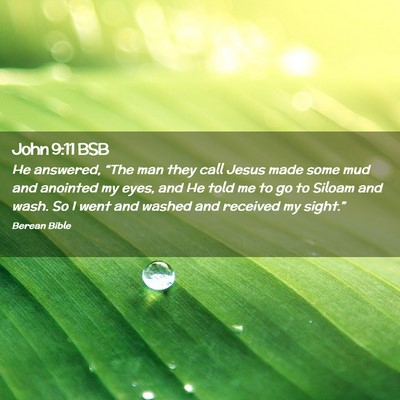 Picture 02 - John 9:11 BSB - He answered, “The man they call Jesus made some - Bible Verse Picture