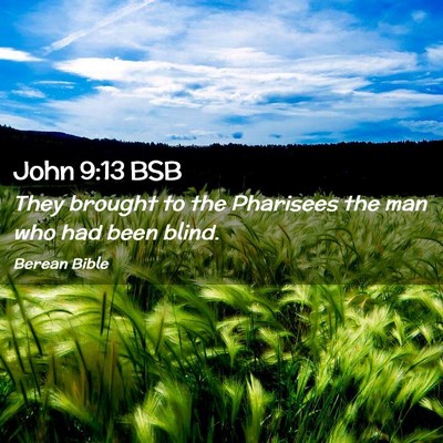 Picture 02 - John 9:13 BSB - They brought to the Pharisees the man who had - Bible Verse Picture