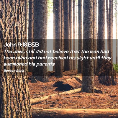 Picture 02 - John 9:18 BSB - The Jews still did not believe that the man had - Bible Verse Picture