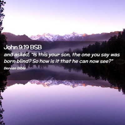 Picture 02 - John 9:19 BSB - and asked, “Is this your son, the one you say - Bible Verse Picture