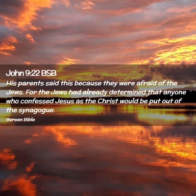 Picture 02 - John 9:22 BSB - His parents said this because they were afraid of - Bible Verse Picture
