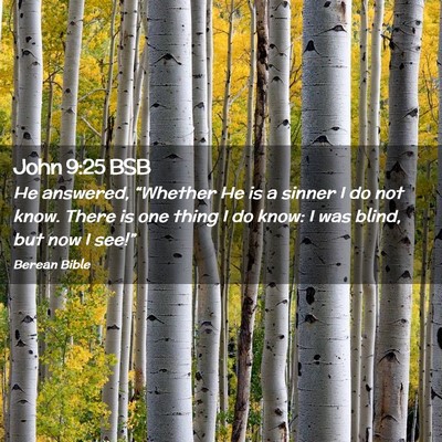 Picture 02 - John 9:25 BSB - He answered, “Whether He is a sinner I do not - Bible Verse Picture