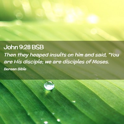 Picture 02 - John 9:28 BSB - Then they heaped insults on him and said, “You - Bible Verse Picture