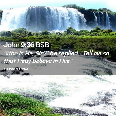 Picture 02 - John 9:36 BSB - “Who is He, Sir?” he replied. “Tell me so - Bible Verse Picture