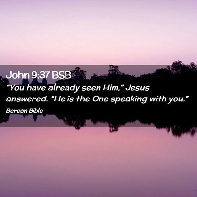Picture 02 - John 9:37 BSB - “You have already seen Him,” Jesus answered. - Bible Verse Picture