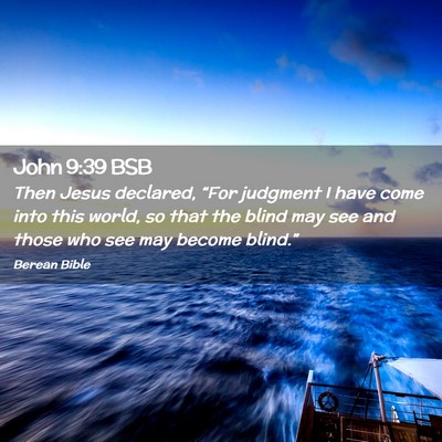 Picture 02 - John 9:39 BSB - Then Jesus declared, “For judgment I have come - Bible Verse Picture