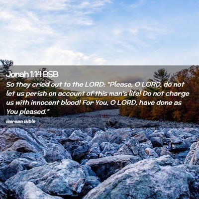 Picture 02 - Jonah 1:14 BSB - So they cried out to the LORD: “Please, O LORD, - Bible Verse Picture