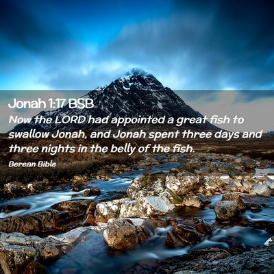 Picture 02 - Jonah 1:17 BSB - Now the LORD had appointed a great fish to - Bible Verse Picture