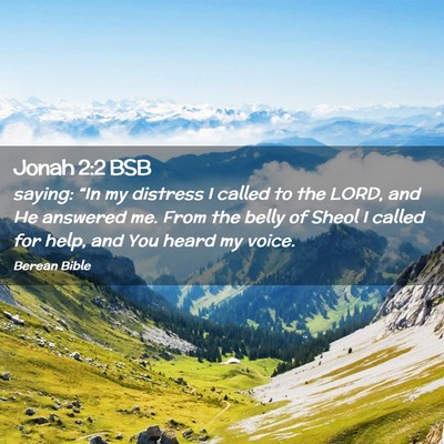 Picture 02 - Jonah 2:2 BSB - saying: “In my distress I called to the LORD, - Bible Verse Picture