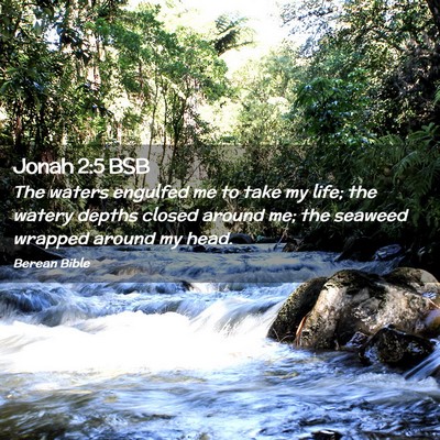 Picture 02 - Jonah 2:5 BSB - The waters engulfed me to take my life; the - Bible Verse Picture