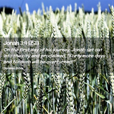 Picture 02 - Jonah 3:4 BSB - On the first day of his journey, Jonah set out - Bible Verse Picture