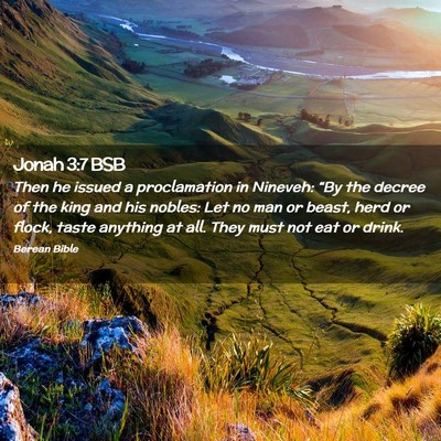 Picture 02 - Jonah 3:7 BSB - Then he issued a proclamation in Nineveh: “By - Bible Verse Picture