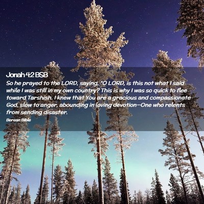 Picture 02 - Jonah 4:2 BSB - So he prayed to the LORD, saying, “O LORD, is - Bible Verse Picture