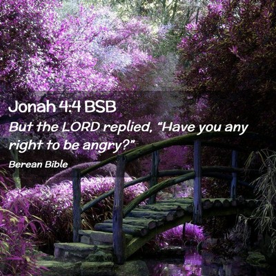 Picture 02 - Jonah 4:4 BSB - But the LORD replied, “Have you any right to be - Bible Verse Picture