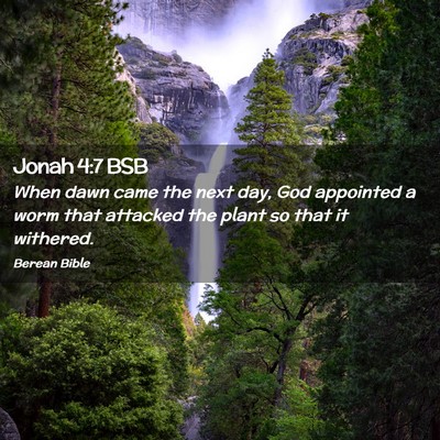 Picture 02 - Jonah 4:7 BSB - When dawn came the next day, God appointed a worm - Bible Verse Picture