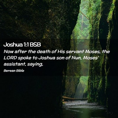Picture 02 - Joshua 1:1 BSB - Now after the death of His servant Moses, the - Bible Verse Picture