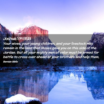 Picture 02 - Joshua 1:14 BSB - Your wives, your young children, and your - Bible Verse Picture