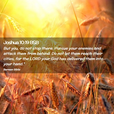 Picture 02 - Joshua 10:19 BSB - But you, do not stop there. Pursue your enemies - Bible Verse Picture