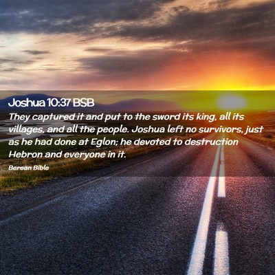 Picture 02 - Joshua 10:37 BSB - They captured it and put to the sword its king, - Bible Verse Picture