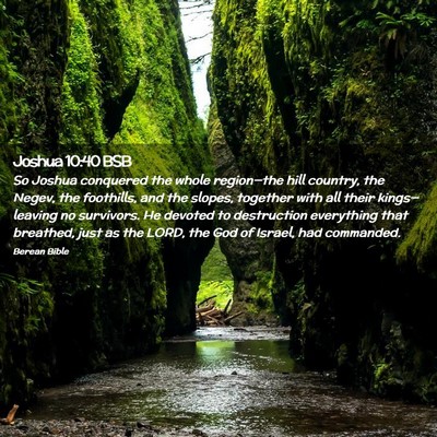 Picture 02 - Joshua 10:40 BSB - So Joshua conquered the whole region—the hill - Bible Verse Picture